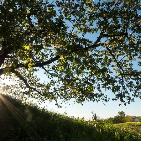 Panzió Sotto I Sassi