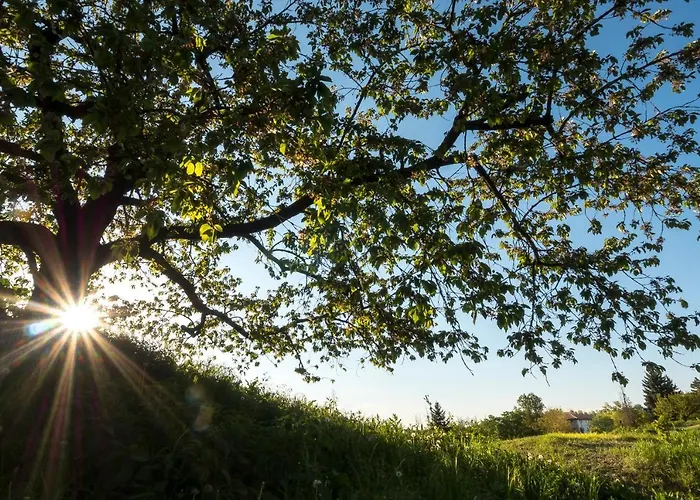 Panzió Sotto I Sassi