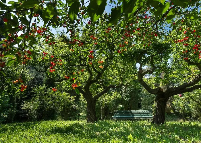 Bed & Breakfast Sotto I Sassi 3*